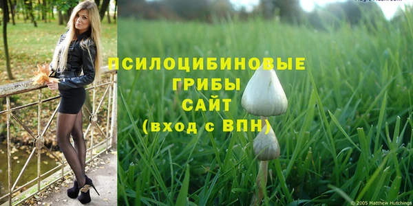 дживик Инсар