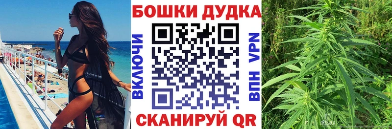 kraken онион  Иноземцево  Марихуана семена 